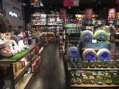 -酷乐潮玩(城西银泰城店)