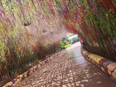 -郑州方特梦幻王国