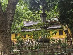 -普陀山风景名胜区-法雨禅寺
