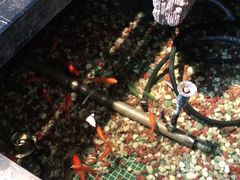 -水晶之星洗浴温泉汗蒸