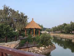 景点-鸽子窝公园