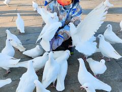 -天津妈祖文化园