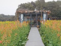 -洪湖家庭农场·团建·露营·会议
