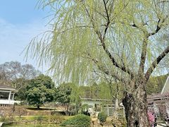 -无锡梅园公园