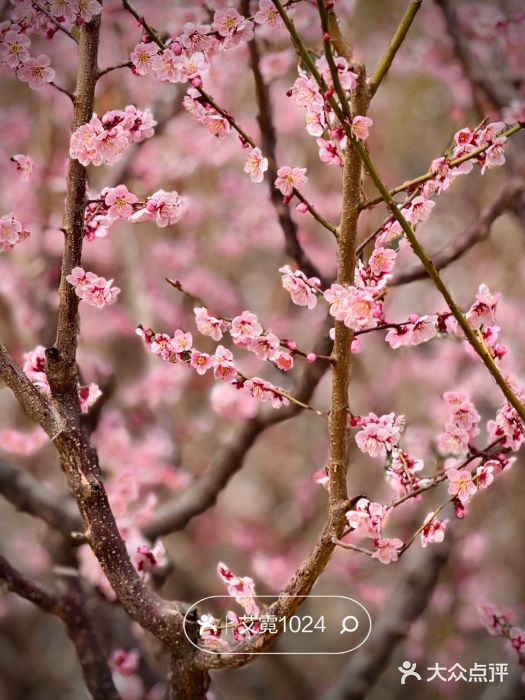 北京明城墙遗址公园图片