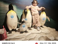 -成都浩海立方海洋公园