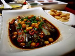 -先机泉水鸡汤(南山老君洞店)
