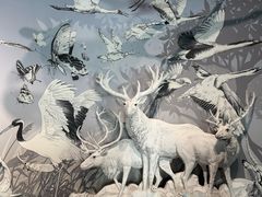 -中国湿地博物馆