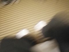 -上海南汇嘴大堤酒店