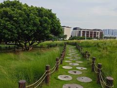 -红花山公园