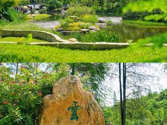 -云溪植物园