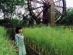 -溱湖国家湿地公园