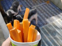 -北京鹿世界主题园