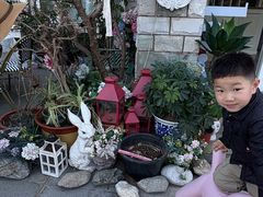 -京北渔家傲