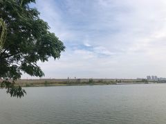 -商丘古城-应天书院