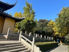 -红梅公园