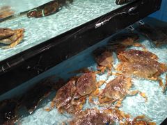 -尚海豆捞(乐虹坊店)