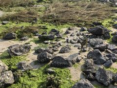 -北海金海湾红树林生态旅游区