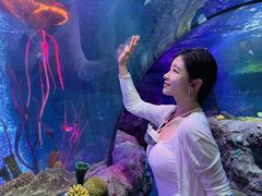 -沈阳海洋探索中心