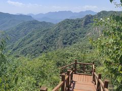 -大岭沟猕猴桃谷风景区