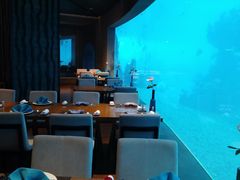 -涛·海底餐厅·美人鱼·自助餐·海底隧道(三亚海棠湾洲际度假酒店)