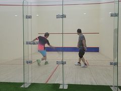 -健身专家Wellness Experts