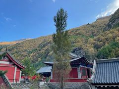 -小五台金河景区