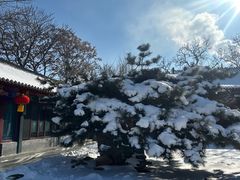 -护国法轮寺