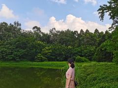 -仙湖旅游度假区