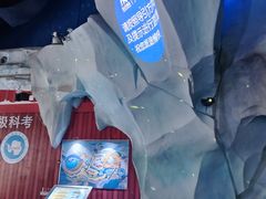 -海合安青岛极地海洋公园