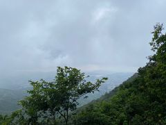 -阳台山森林公园