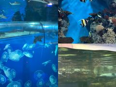 -福州罗源湾海洋世界旅游区