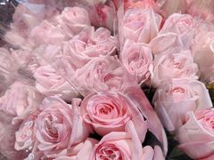 -循礼门鲜花花市(武汉循礼门店)