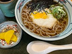 -白川乡手打荞麦面