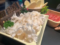 -季季山·云南野生菌火锅(上海首店)