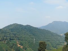 -午潮山国家森林公园