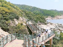 -广东惠东海龟国家级自然保护区