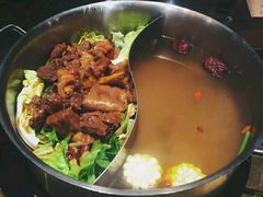 -手选潮汕鲜活牛肉火锅(二七广场店)