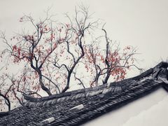 -丹山赤水风景名胜区