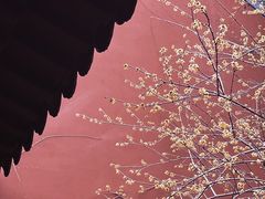 -钱王祠
