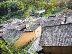 -杨家堂村