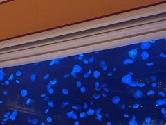-永利澳门酒店