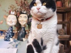 -创艺无限·赵春香微妙艺术馆