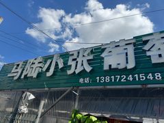 -马陆小张葡萄园农家乐