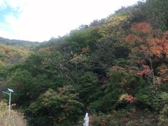 -天女山森林公园