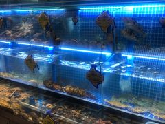 -小平岛開海水饺(浑南店)