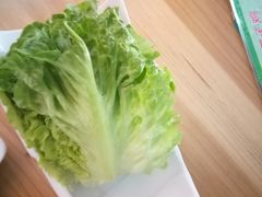 -金勺子原汤椰子鸡