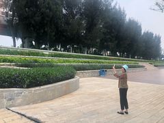 -宝安西湾红树林湿地公园