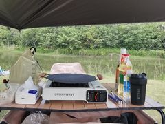 -南湖湿地公园