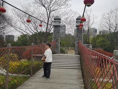 -滨湖塘西河公园